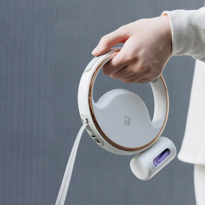 Laisse Pour Chien Avec Lumière Led Et Mécanisme Extensible Pour Une Promenade En Toute Sécurité
