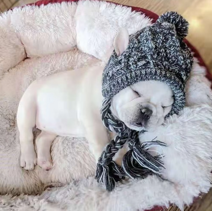 Casquette Stylée Pour Chiens Avec Pompon - Bonnet D' Hiver Chaud Pour Petits Chiens