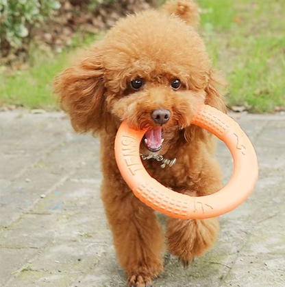 Anneau à Lancer et à Mordre Robuste - Jouet Interactif pour Chien pour un Plaisir Actif