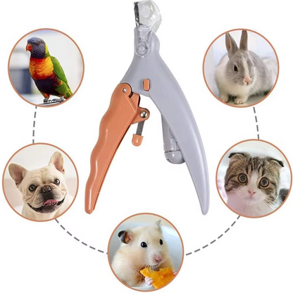 Cisaille à Griffes pour Animaux Domestiques - Cisaille à Griffes Précise et Sûre avec Loupe à Led