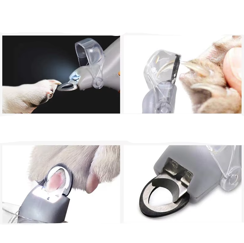 Cisaille à Griffes pour Animaux Domestiques - Cisaille à Griffes Précise et Sûre avec Loupe à Led