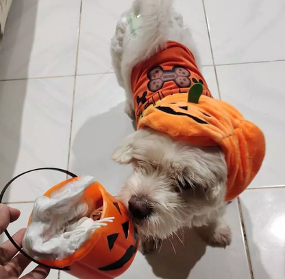 Costume Citrouille D'halloween Pour Chiens