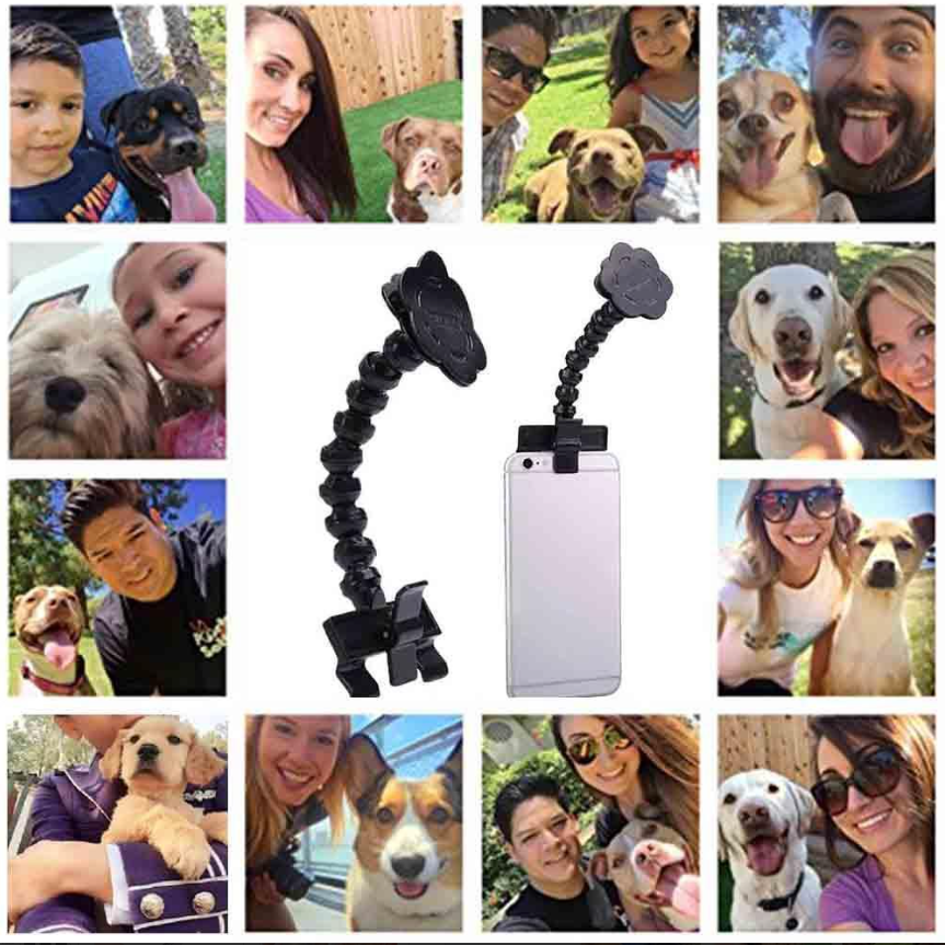 Selfie - Stick pour Animaux de Compagnie avec Support pour Friandises