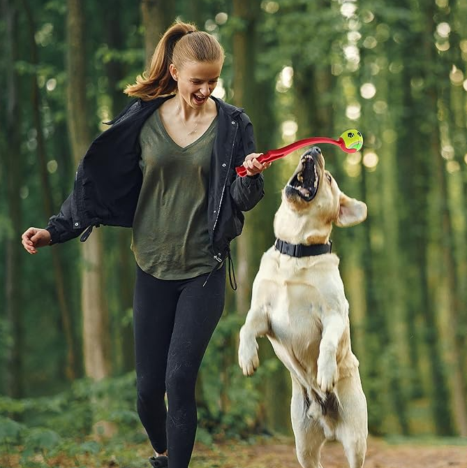 Les Lanceurs de Balles pour Chiens - un Jeu de Lancer Loin pour les Quadrupèdes Actifs