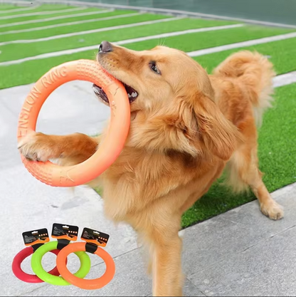 Anneau à Lancer et à Mordre Robuste - Jouet Interactif pour Chien pour un Plaisir Actif