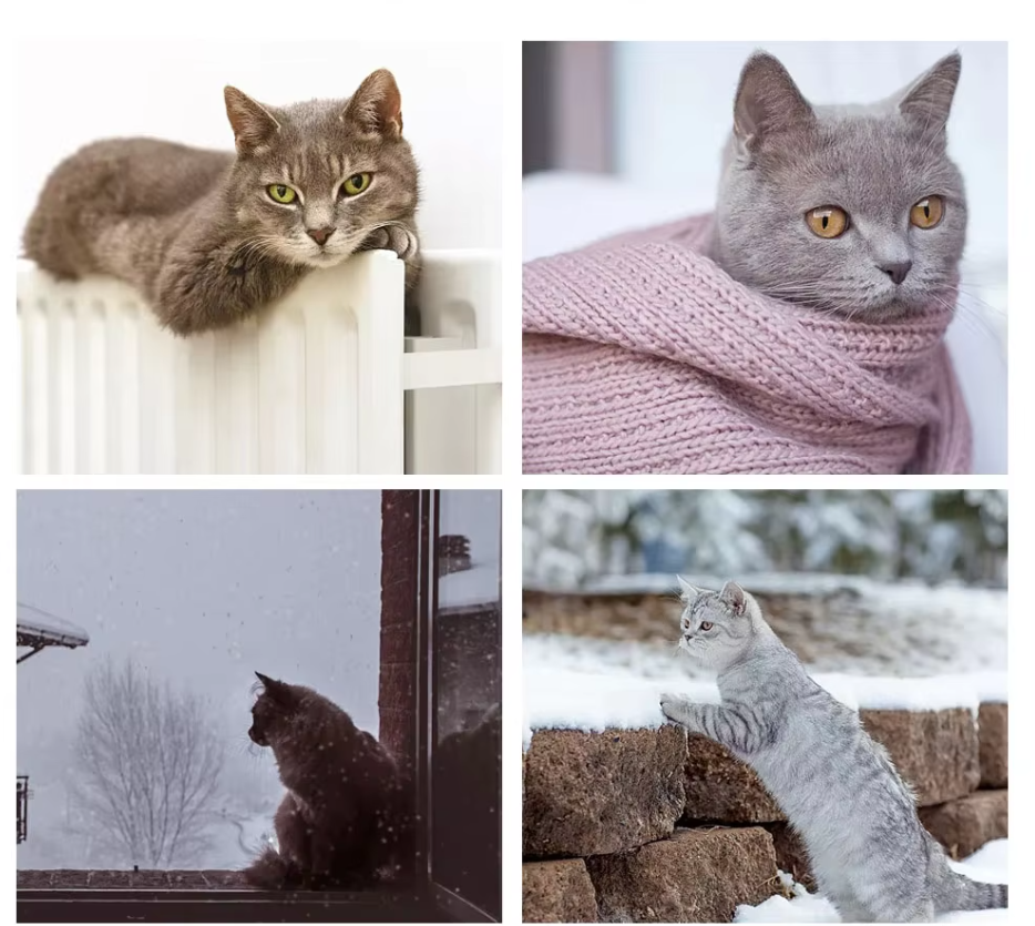 Hamac pour Chats - Couchage de Fenêtre Souple et Stable pour Chats