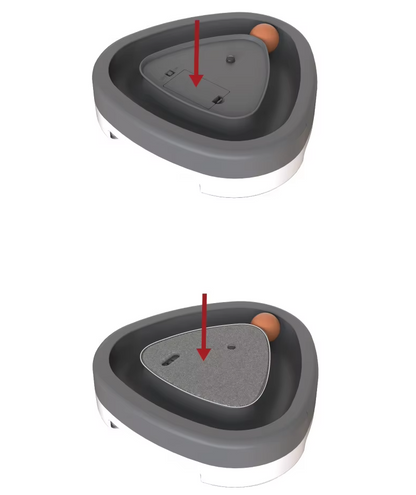 Jouet Interactif pour Chat avec Balle - Griffoir et Piste de Jeu pour les Chats Actifs