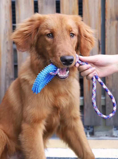 Jouet Pour Chien Robuste Avec Anneau De Dentition - Jouet À Mâcher Corde À Déchirer Pour Un Plaisir Interactif