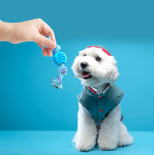 Jouets pour Chiens Corde à Mâcher - Corde Robuste avec Balle de Dentition pour le Plaisir de Jouer à L' Hygiène Dentaire