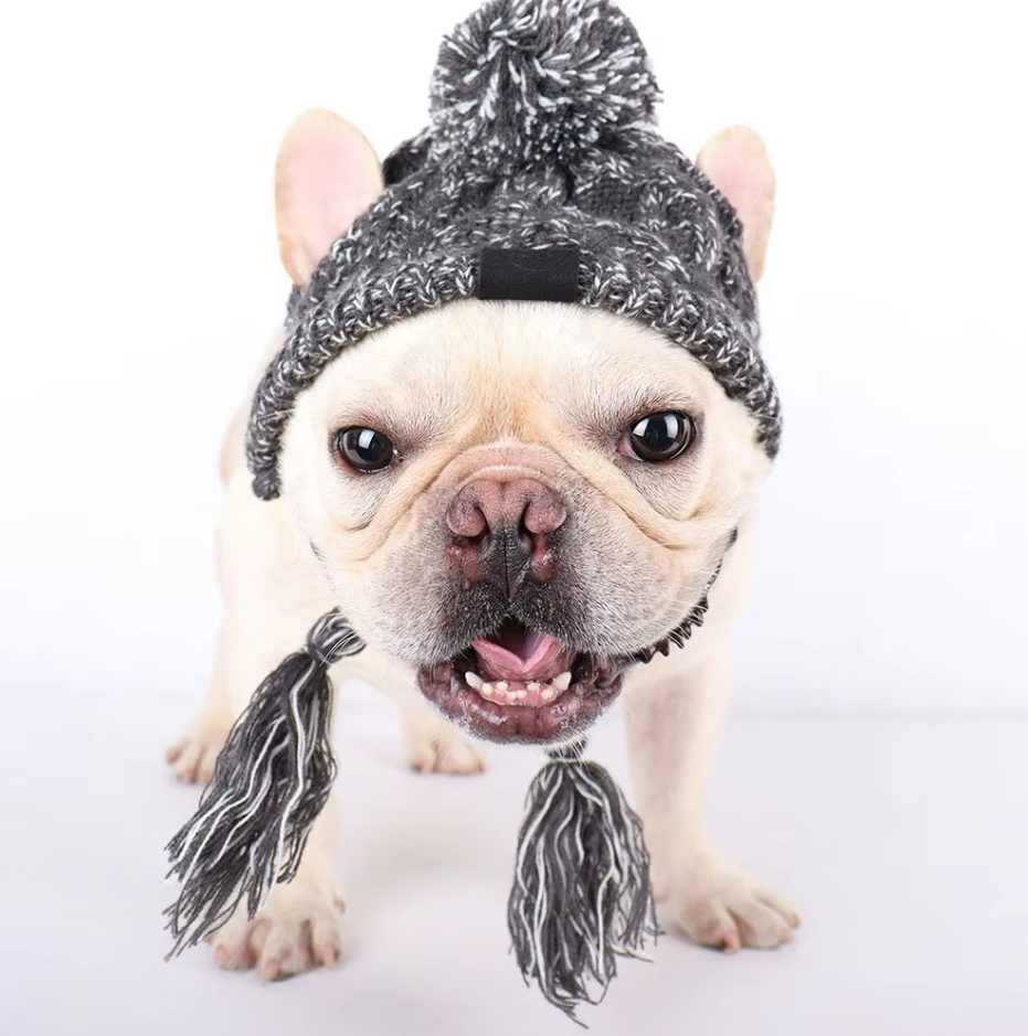 Casquette En Tricot Pour Animaux Domestiques Avec Pompon Et Pompons Torsadés En Rose