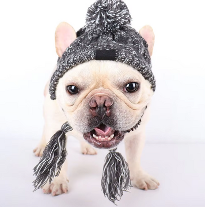 Casquette En Tricot Pour Animaux Domestiques Avec Pompon Et Pompons Torsadés En Rose