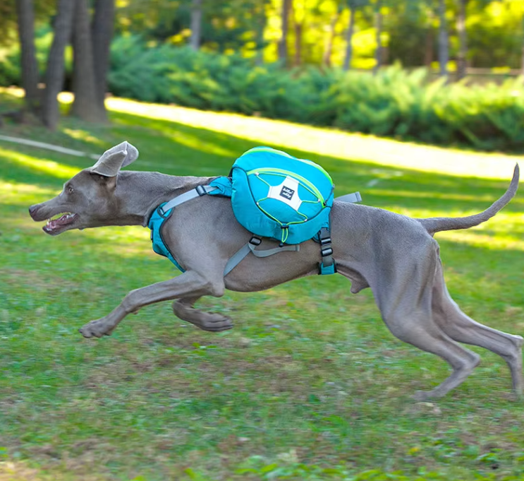 Sac À Dos De Randonnée Pour Chiens Avec Poches Étanches - Civière Portable Pour Chiens Pour Les Activités De Plein Air