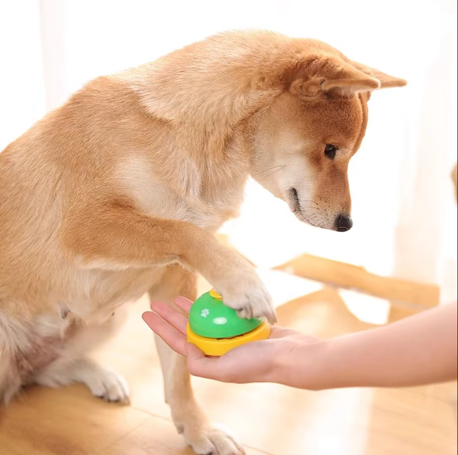 Sonnerie D' Entraînement pour Chiens - Cloche Interactive de Communication et de Nourriture