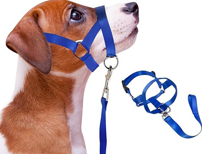 Harnais Réglable Avec Laisse Pour Chiens De Taille Petite Et Moyenne