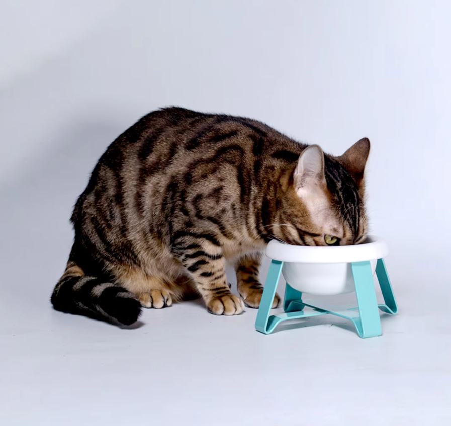 Écuelle pour Chien Surélevée - Écuelle Élégante avec Support Métallique