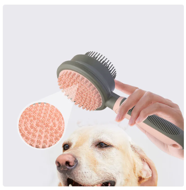 Brosse à Chat pour le Soin du Pelage - Tête de Brosse à Double Face pour Démêler