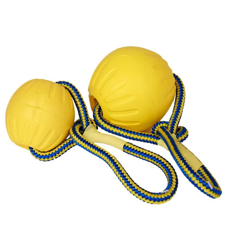 Jouets pour Chiens Robustes - Balle à Rapporter et à Déchirer avec Corde