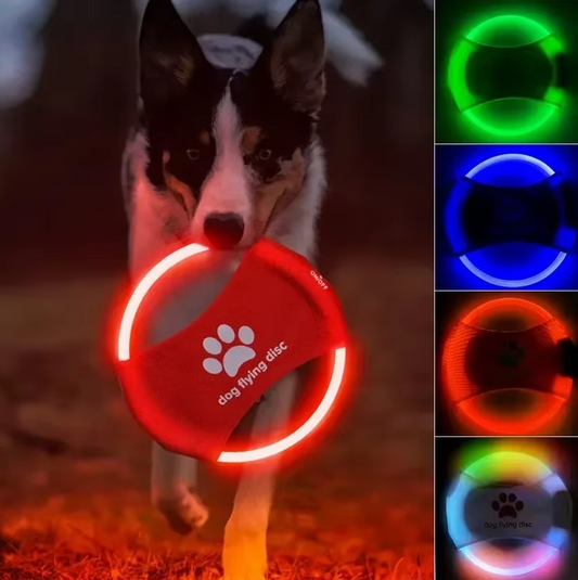 Led Disque pour Chien - Disque Volant Lumineux pour Chien