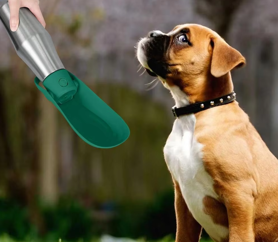Bouteille en Acier Inoxydable pour Chiens - Distributeur D' Eau Portable avec Bol Pliable