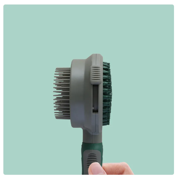 Brosse à Chat pour le Soin du Pelage - Tête de Brosse à Double Face pour Démêler