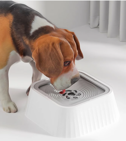 Ecuelle Anti-fuite pour Animaux de Compagnie avec Plaque D' Eau Flottante contre le Museau Mouillé
