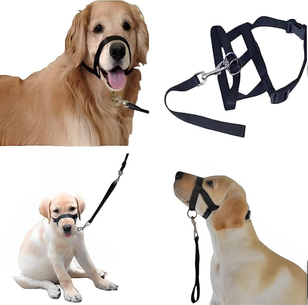 Harnais Réglable Avec Laisse Pour Chiens De Taille Petite Et Moyenne