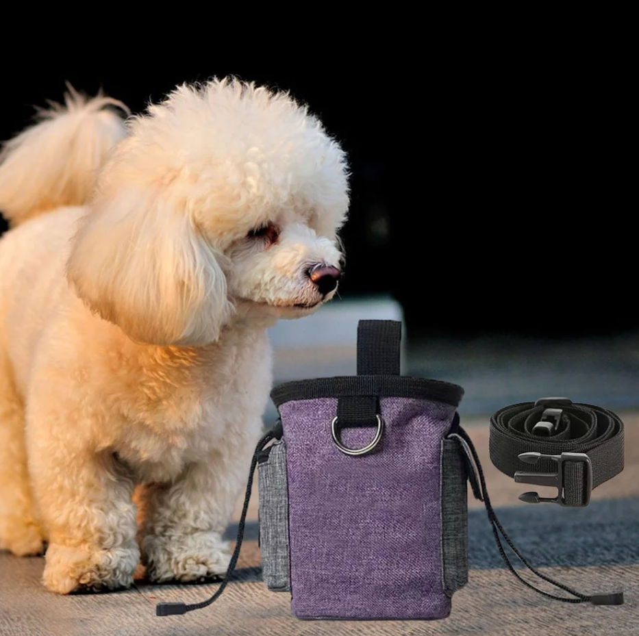 Sac Pour Chien Avec Écuelle Pliable - Sac Portable Pour Les Snacks Et Les Accessoires