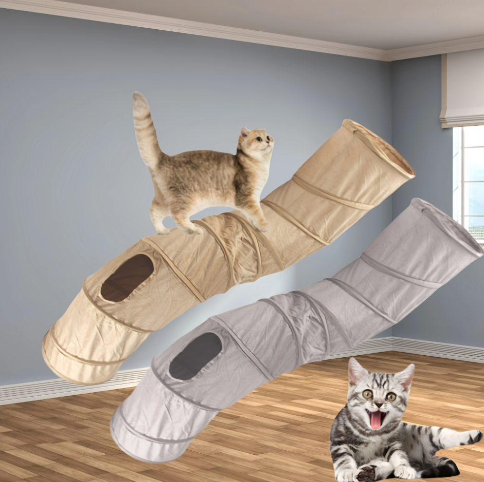 Tunnel pour Chats avec Fenêtre - Jeux et Cachettes pour Tigres Actifs
