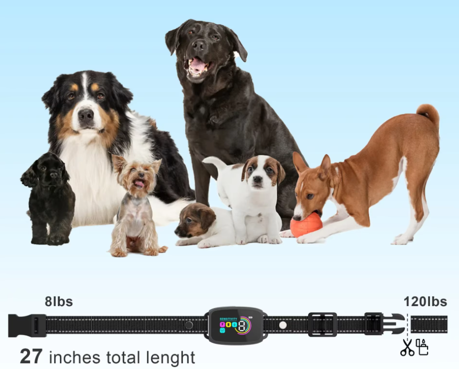 Collier De Dressage Pour Chien Avec Télécommande - 8 Niveaux De Sensibilité Vibration Mode Choc