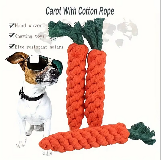 Jouet à Mâcher Carotte - Corde en Coton Robuste pour des Dents de Chien Saines