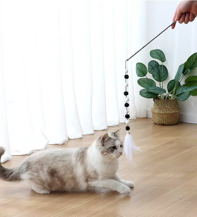 Canne à Pêche Interactive pour Chats avec Plumes à Pompon - un Jeu Amusant pour les Chats Curieux