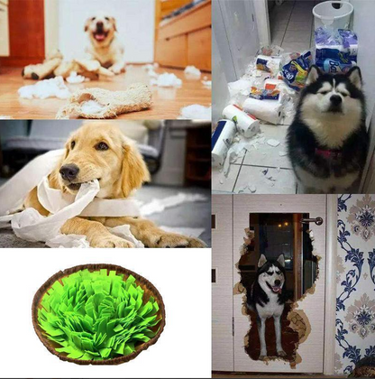 Tapis à Renifler pour Chiens - Développe les Aptitudes Naturelles à la Recherche de Nourriture
