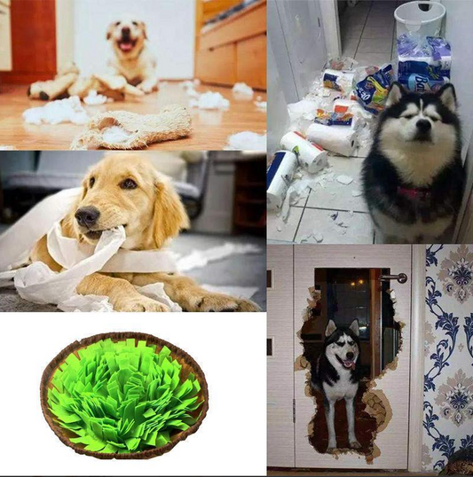 Tapis à Renifler pour Chiens - Développe les Aptitudes Naturelles à la Recherche de Nourriture