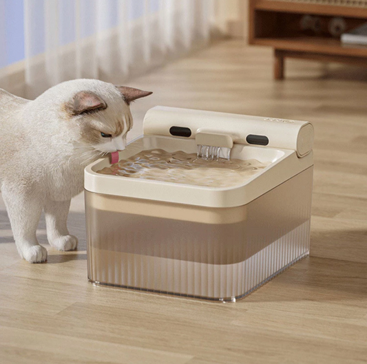 Distributeur D'eau Éléphant Avec Triple Filtration