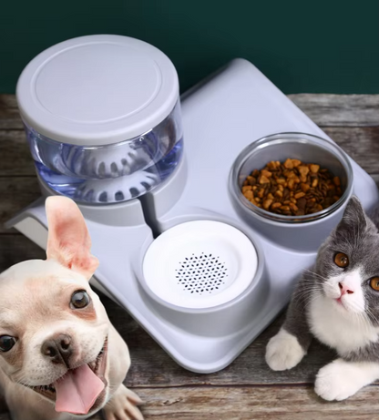 Écuelle D' Eau et de Nourriture pour Animaux Domestiques - Système 2 en 1 avec Base Pratique