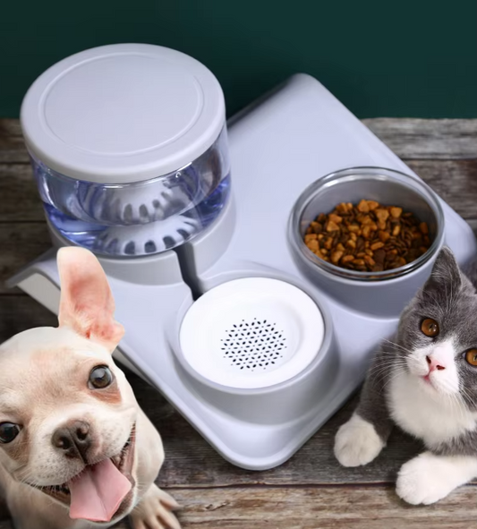 Écuelle D' Eau et de Nourriture pour Animaux Domestiques - Système 2 en 1 avec Base Pratique