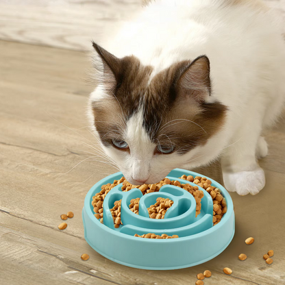 Bol D' Alimentation Lent pour Chiens