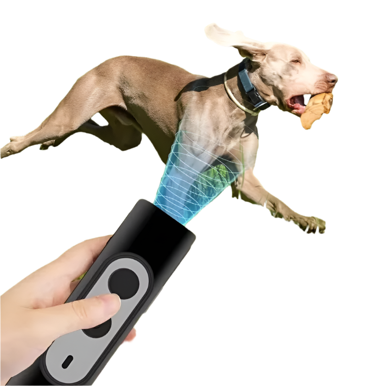 Développeur de Chien Portable avec Télécommande
