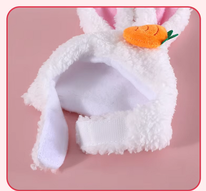 Chapeau pour Chat avec Oreilles de Lapin et Design Carotte ou Fleur pour des Photos Adorables de Compagnons