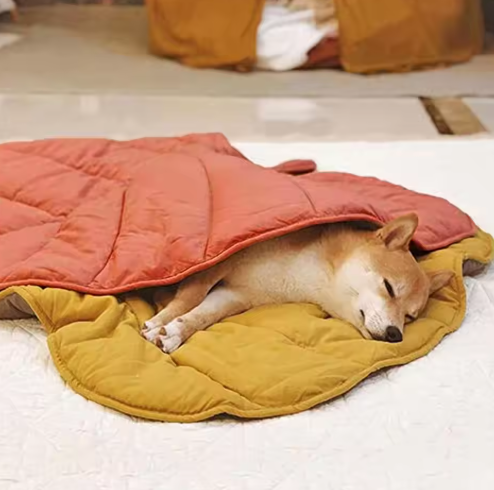 Tapis Pour Animaux De Compagnie Réversible