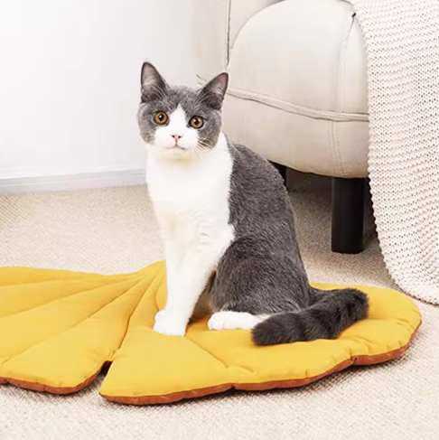 Tapis Pour Animaux De Compagnie Réversible