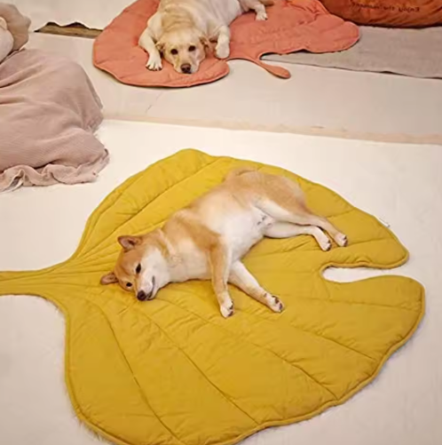 Tapis Pour Animaux De Compagnie Réversible