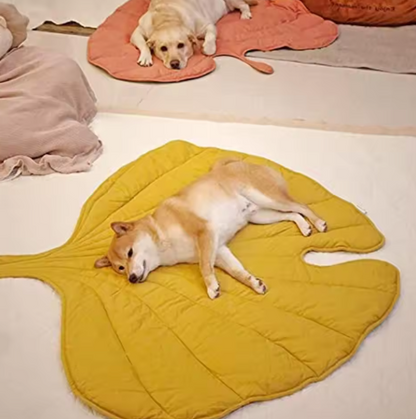 Tapis Pour Animaux De Compagnie Réversible