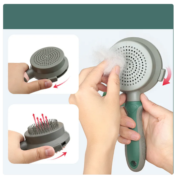 Brosse à Chat pour le Soin du Pelage - Tête de Brosse à Double Face pour Démêler
