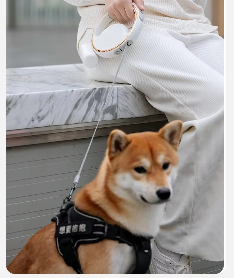 Laisse Pour Chien Avec Lumière Led Et Mécanisme Extensible Pour Une Promenade En Toute Sécurité