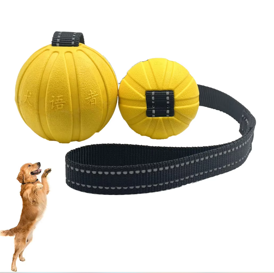 Jouet D' Entraînement Interactif au Mordant pour Chiens - Balle Déformable Résistante