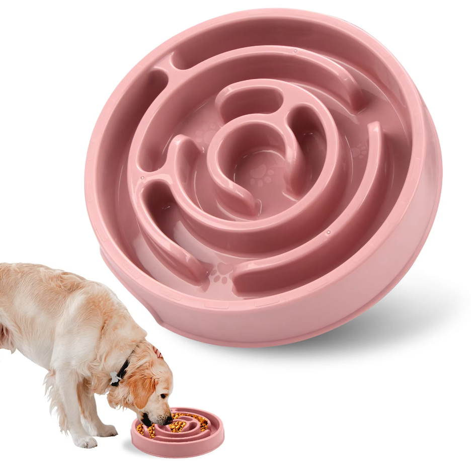 Bol D' Alimentation Lent pour Chiens