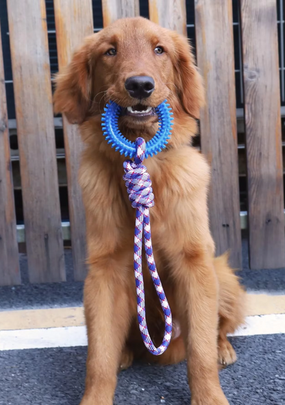 Jouet Pour Chien Robuste Avec Anneau De Dentition - Jouet À Mâcher Corde À Déchirer Pour Un Plaisir Interactif