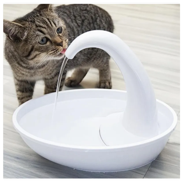Fontaine à Eau pour Chats et Chiens - Fontaine à Eau Automatique 2.34l