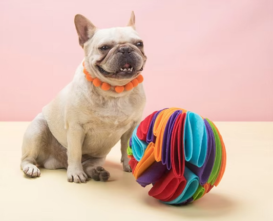 Balle de Jouet pour Chien - Balle en Tissu Colorée pour Chiens à Mâcher et à Jouer